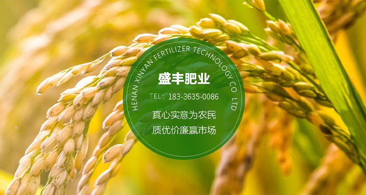 河南盛豐肥業科技有限公司【官網】
